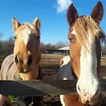 Bosquey Ranch