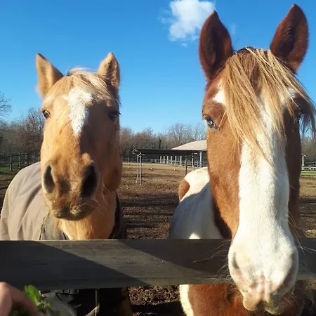 Bosquey Ranch