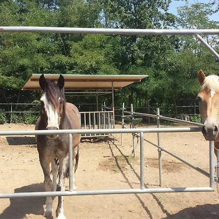 Frühstückspension Bosquey Ranch