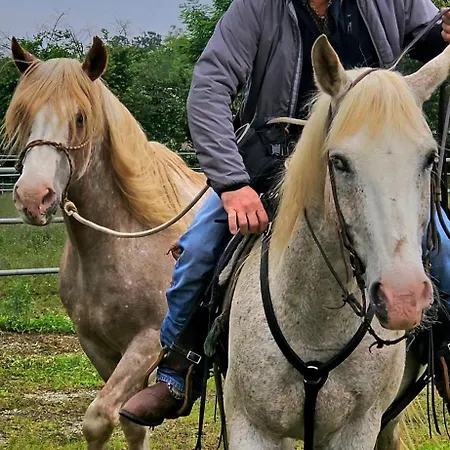 Bosquey Ranch 3*