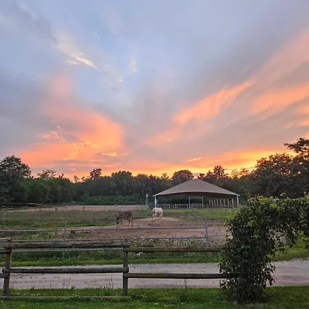 Bosquey Ranch 3*
