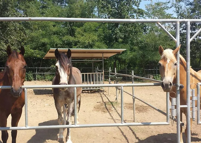 Bed & Breakfast Bosquey Ranch