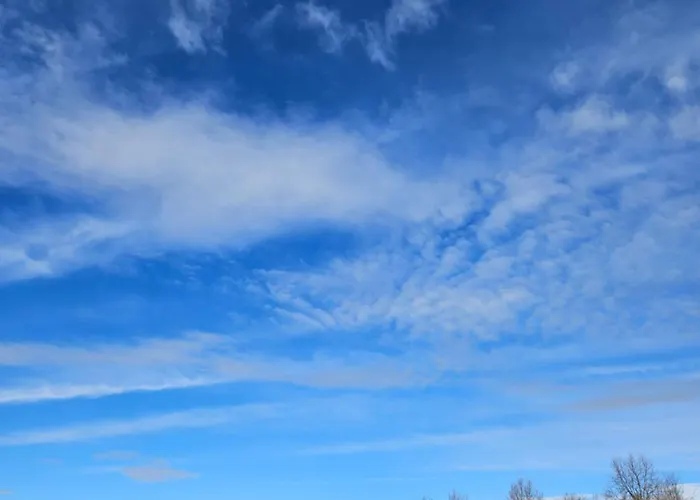 Bosquey Ranch Bed & Breakfast Alice Castello